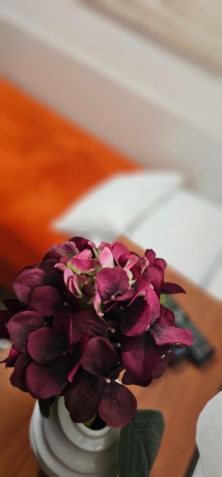 Sobe/Rooms Riva Zadar Zewnętrze zdjęcie